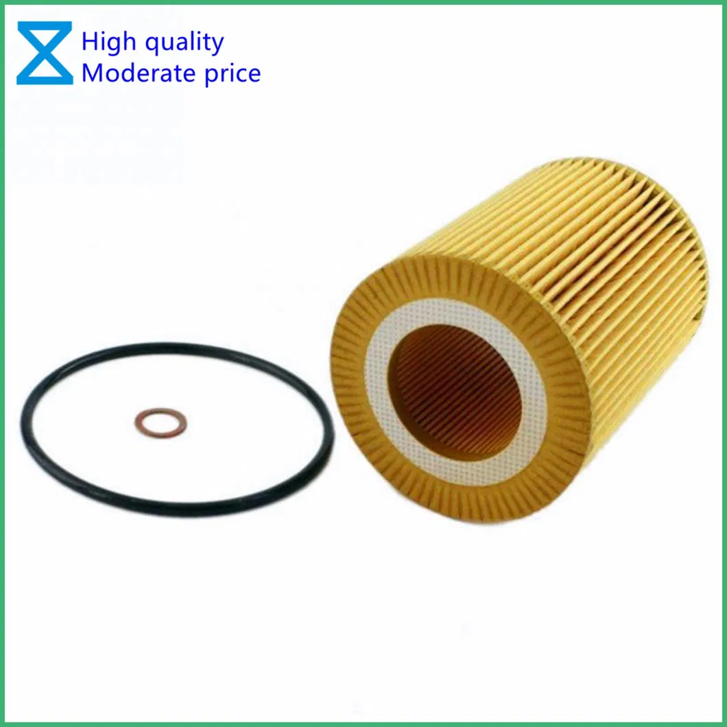 China Professional OEM Providing High Quality Oil Filter for BMW 3/5/7 Series