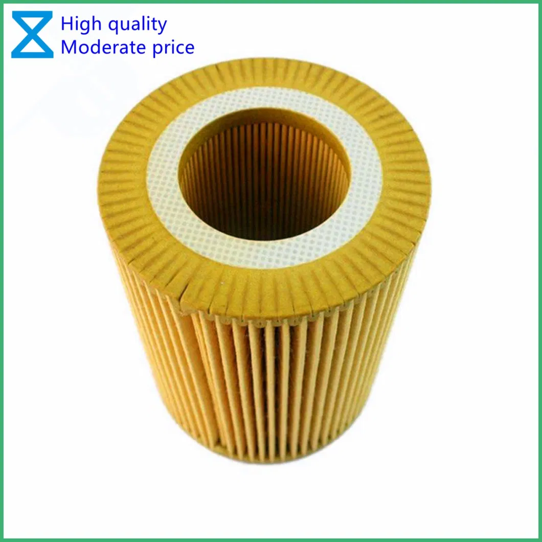 China Professional OEM Providing High Quality Oil Filter for BMW 3/5/7 Series