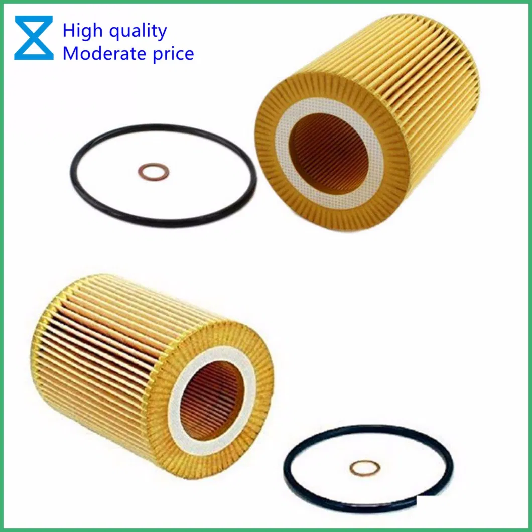 China Professional OEM Providing High Quality Oil Filter for BMW 3/5/7 Series